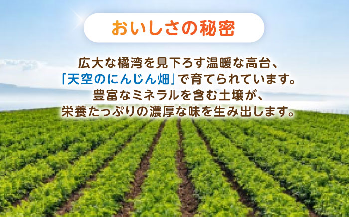 【甘みと栄養たっぷり！】 真っ赤な人参 「紅天神」 10kg / にんじん ニンジン 人参 やさい 野菜 / 諫早市 / 滝商店株式会社 [AHCU002]