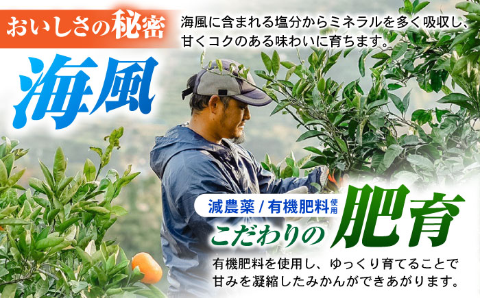 ※【2026年10月下旬より順次発送／先行予約】伊木力みかん(家庭用) 5kg / みかん ミカン 蜜柑 オレンジ フルーツ 果物 / 諫早市 / 山野果樹園 [AHCF002R]