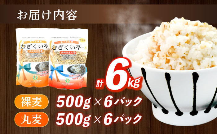 むぎくい亭(丸麦500gｘ6・裸麦500gｘ6) / 麦 丸麦 はだか麦 麦味噌 雑穀 雑穀米 長崎県産 米 こめ コメ ※ / 諫早市 / 有限会社伊東精麦  [AHBU002] 