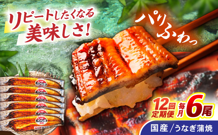 【12回定期便】【諫早淡水】うなぎ蒲焼6尾 / うなぎ ウナギ 鰻 国産うなぎ 国産鰻 蒲焼き 蒲焼 かばやき うな重 うな丼 / 諫早市 / 諫早淡水株式会社 [AHAT038]