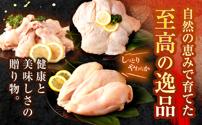 【長崎県産】長崎夢みどり鶏もも肉1kg×3P・むね肉1kg×2P・手羽元1kg×3P8kgセット / 鶏肉 もも もも肉 むね むね肉 手羽 手羽元 / 諫早市 /西日本フード株式会社 [AHAV003] 