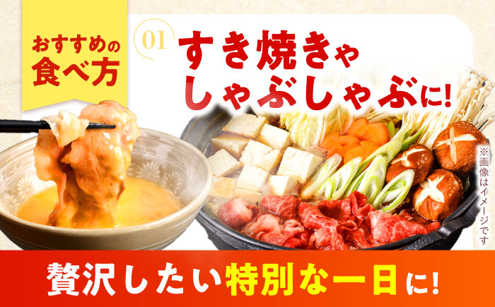 【すき焼きやしゃぶしゃぶに】長崎和牛 切り落とし 計900g（300g×3P) / しゃぶしゃぶ　和牛　国産　切落し / 諫早市 / 日本ハムマーケティング株式会社 [AHAL013]