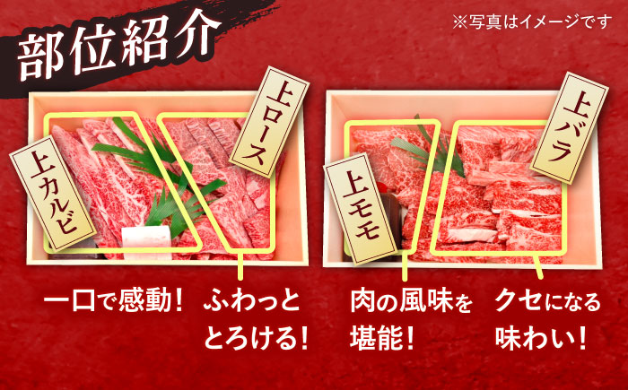 長崎和牛 焼肉 4種 上バラ 上モモ 上ロース 上カルビ 計920g / 長崎和牛 焼肉 焼き肉 牛肉 和牛 牛 バラ モモ ロース カルビ / 諫早市 / 焼肉おがわ [AHCD004]