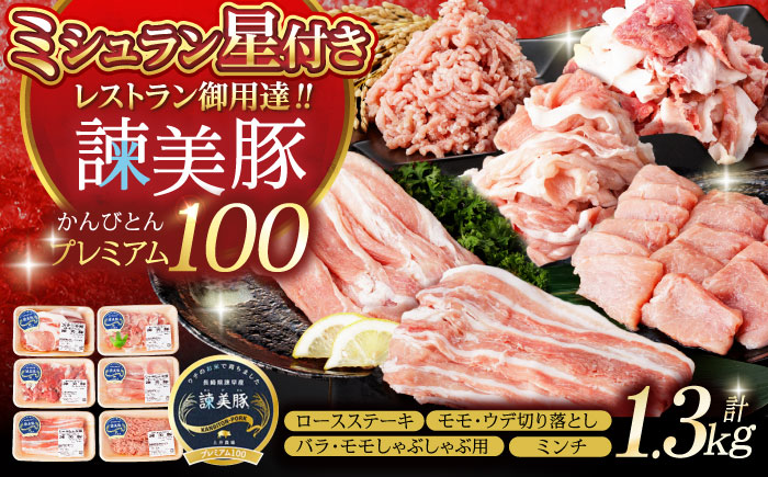 諫美豚プレミアム100おススメセット 1.3kg / 豚肉 肉 ぶたにく ロースステーキ バラ モモ ウデ ミンチ / 諫早市 / 株式会社土井農場 [AHAD072]