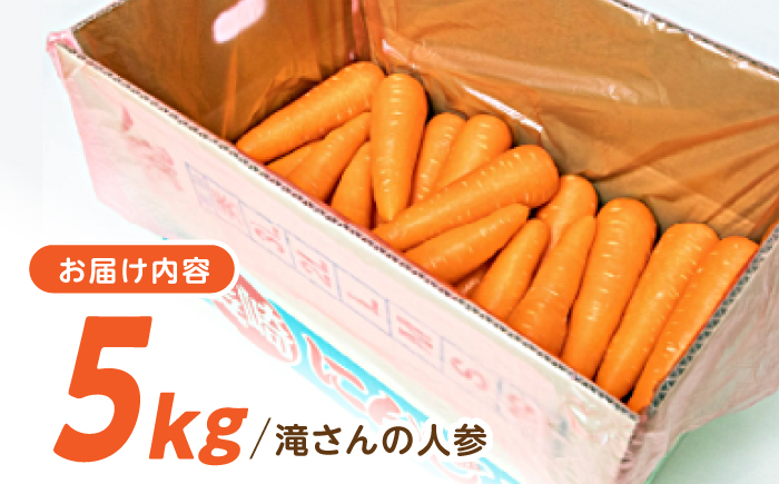 滝さんの人参 5kg / にんじん ニンジン 人参 carrot やさい 野菜 にんじんジュース 人参ジュース ニンジンジュース キャロット キャロットジュース / 諫早市 / 滝商店株式会社 [AHCU007]