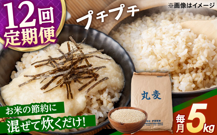 もち麦よりも『ぷりっ』とした弾力 【12回定期便】長崎県産 丸麦 5kg / 麦 むぎ 雑穀 雑穀米 麦ごはん 麦飯 麦みそ 食物繊維 / 諫早市 / 有限会社伊東精麦 [AHBU016]