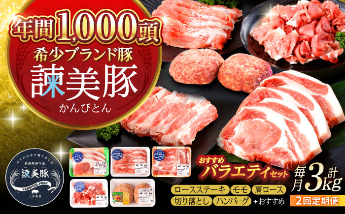 【2回定期便】諫美豚おすすめバラエティセット3kg / 諫美豚 豚肉 肩ロース ステーキ モモ 切り落とし ハンバーグ ロースステーキ / 諫早市 / 株式会社土井農場 [AHAD001]