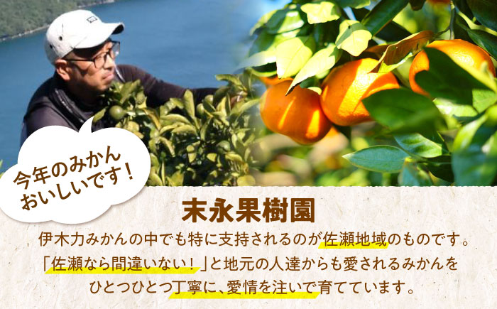 ※【2025年(令和7年)12月発送分／先行予約】伊木力温州早生みかん5kg(ご家庭用、箱入り) / 伊木力 温州みかん みかん ミカン 蜜柑 佐瀬 諫早 多良見 長崎 早生　/ 末永果樹園 [AHBD004]
