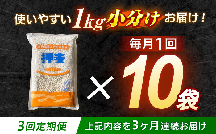 【3回定期便】押麦「長崎御島」1kg×10袋 計10kg / 麦 むぎ 押麦 はだか麦 麦味噌 雑穀 雑穀米 食物繊維 小分け 長崎県産 米 こめ コメ ※ / 諫早市 / 有限会社伊東精麦 [AHBU010]