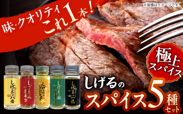 しげるのスパイス５本セット　/　スパイス　ジンジャー　肉　肉専門　オニオン　/　諫早市　/　株式会社飯盛グリーン開発 [AHCY017]