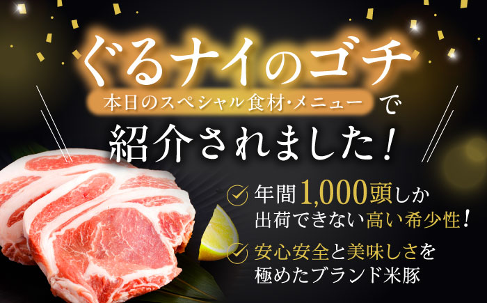 黒豚諫美豚プレミアム100おすすめセット1.2kg / 諫美豚 豚肉 肩ロース ステーキ モモ 切り落とし ハンバーグ ロースステーキ / 諫早市 / 株式会社土井農場 [AHAD047]