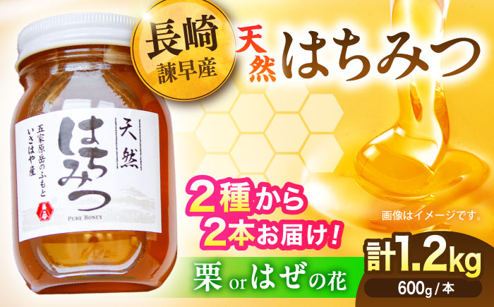 長崎県産天然はちみつ600g(2本セット) / 百花蜜 百花蜂蜜 蜂蜜 はちみつ ハチミツ / 諫早市 / 坂口養蜂 [AHDB001]