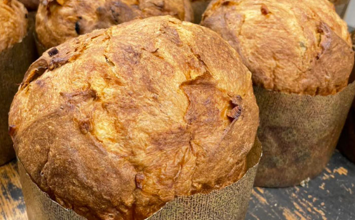 パネットーネ 1個 / パン 菓子パン ぱん ふわふわ 天然酵母 イタリア伝統菓子 ミラノ クリスマス 冬 / 諫早市 / 町草パン製造所 [AHEZ002]