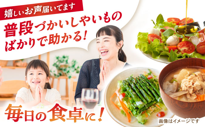 月2回お届け【24回定期便】諫早産 野菜の詰め合わせ 8～9品目程度 / 季節 旬 野菜 やさい 春野菜 夏野菜 秋野菜 野菜セット 詰め合わせ 野菜定期 野菜定期便 定期便 / 諫早市 / 肥前グローカル株式会社 [AHDI015]