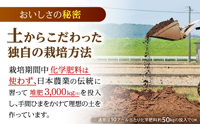 循環農法米 なつほのか白米 5kg / 米 こめ コメ おこめ お米 白米 なつほのか / 諫早市 / 株式会社土井農場 [AHAD096]