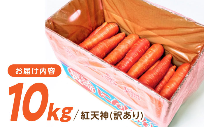 ※【2026年1月より順次発送／先行予約】【訳あり】【甘みと栄養たっぷり！】真っ赤な人参 「紅天神」 10kg / にんじん ニンジン 人参 やさい 野菜 訳あり 訳アリ わけあり ワケアリ / 諫早市 / 滝商店株式会社 [AHCU006]