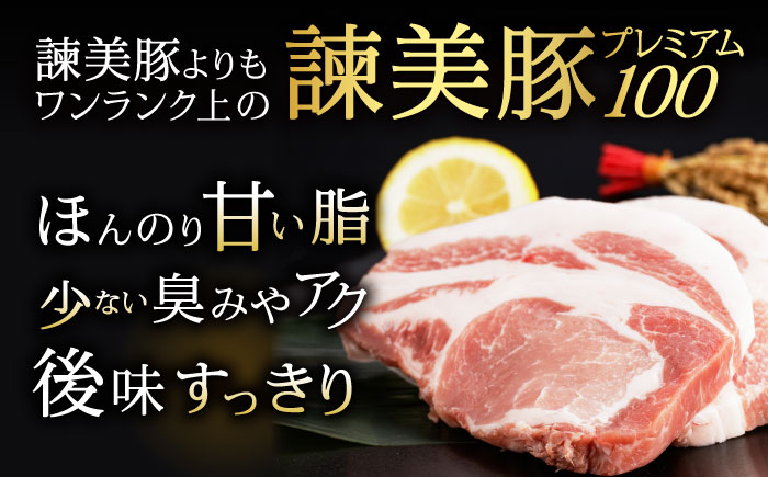 諫美豚プレミアム100おススメセット 1.3kg / 豚肉 肉 ぶたにく ロースステーキ バラ モモ ウデ ミンチ / 諫早市 / 株式会社土井農場 [AHAD072]