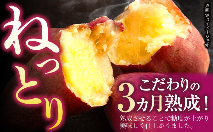 【2月中旬以降順次発送】冷凍焼き芋　２kg　/　焼き芋　いも　イモ　芋　冷凍　/　諫早市　/　一般財団法人　諫早市小長井振興公社 [AHDK002]