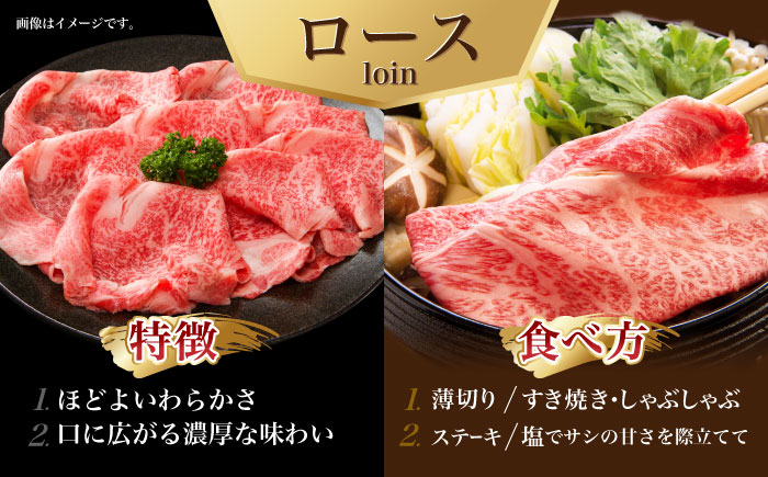 【6回定期便】長崎和牛すきやき・ステーキセット　計800g / 牛肉 ロース ろーす すきやき すき焼き ステーキ すてーき 長崎和牛 / 諫早市 / 長崎県央農業協同組合　Aコープ本部　 [AHAA028]