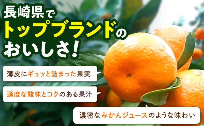 ※【2025年(令和7年)12月発送分／先行予約】伊木力温州早生みかん10kg(ご家庭用、箱入り) / みかん 温州みかん 柑橘 蜜柑 ミカン 果物 / 諫早市 / 末永果樹園 [AHBD002]