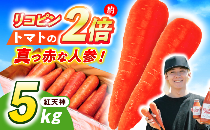 【甘みと栄養たっぷり！】真っ赤な人参「紅天神」 5kg / にんじん ニンジン 人参 carrot やさい 野菜 にんじんジュース 人参ジュース ニンジンジュース キャロット キャロットジュース / 諫早市 / 滝商店株式会社 [AHCU008]