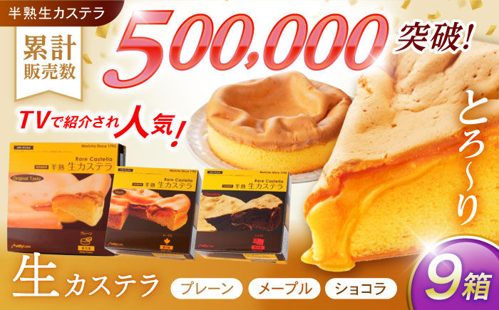 半熟生カステラ3個(プレーン・メープル・ショコラ)×3セット / カステラ かすてら 卵 人気 長崎 / 諫早市 / 株式会社菓秀苑森長 [AHAG008]