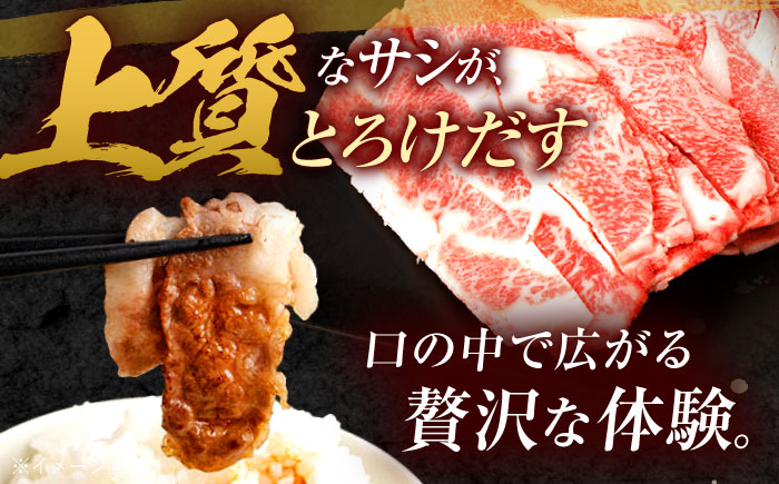 【3回定期便】 長崎和牛 切り落とし 800g（400g×2）肩ロース・モモ・カタ・バラ使用 / 牛肉 ぎゅうにく 肉 和牛 国産牛 切落し?/ 諫早市 / 西日本フード株式会社 [AHAV022]