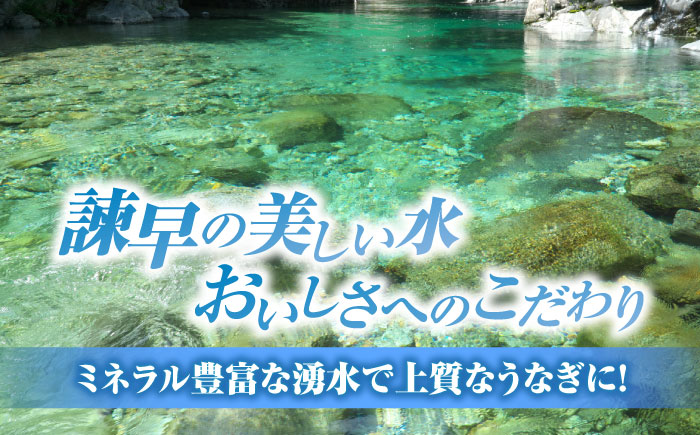 【最速発送】＜諫早淡水＞うなぎ蒲焼3尾＆白焼き3尾セット / うなぎ ウナギ 鰻 蒲焼き 蒲焼 白焼き 白焼  国産 冷凍 小分け うな重 うな丼 ひつまぶし / 諫早市 / 活うなぎ問屋 諫早淡水 [AHAT006] スピード 最短 最速 発送