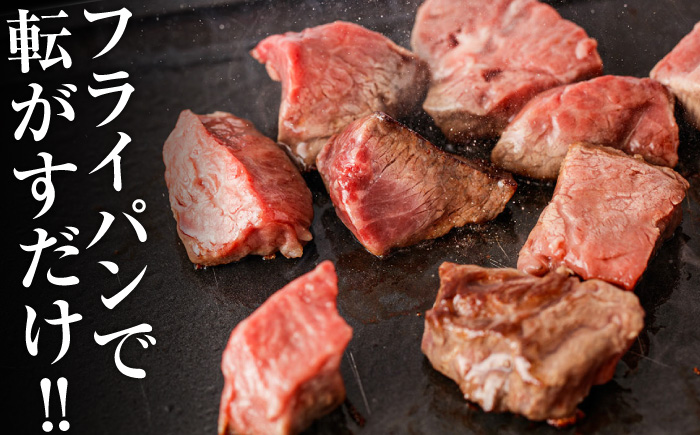 長崎和牛 A5 ヒレサイコロステーキ 400g / ヒレ ひれ ヒレステーキ ステーキ すてーき サイコロステーキ / 諫早市 / 野中精肉店 [AHCW105]