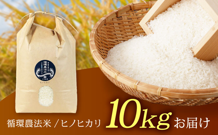 循環農法米 ヒノヒカリ白米 10kg / 米 こめ コメ おこめ お米 白米 ひのひかり / 諫早市 / 株式会社土井農場 [AHAD095]