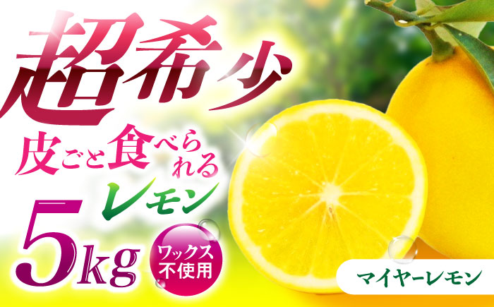 ※【2025年11月発送分／先行予約】マイヤーレモン 5kg / レモン れもん 檸檬 フルーツ / 諫早市 / 山野果樹園 [AHCF004]