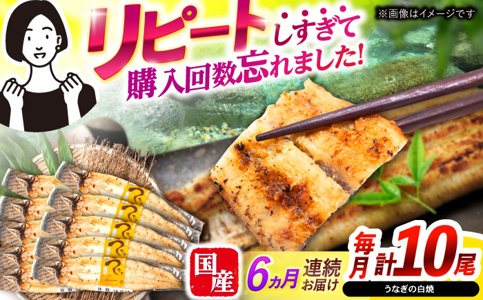 【6回定期便】【諫早淡水】うなぎ白焼き10尾  / うなぎ 白焼き 栄養価 小分け 冷凍 / 諫早市 / 諫早淡水 [AHAT043]