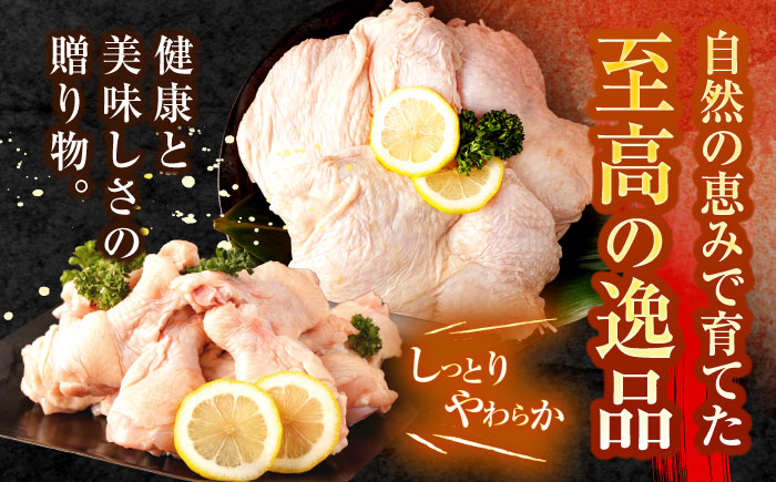 【6回定期便】【長崎県産】長崎夢みどり(鶏もも肉1kg×2P、手羽元1kg×2P・4kgセット) / モモ肉 もも肉 手羽 手羽元 鶏肉 / 諫早市 / 西日本フード株式会社 [AHAV017]