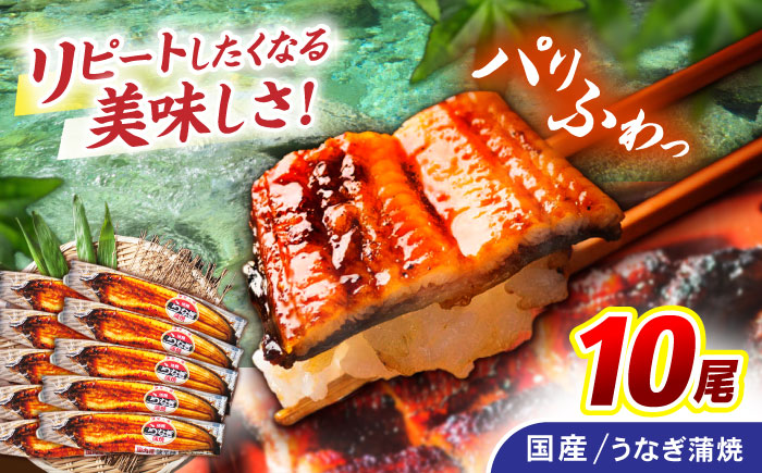 ＜諫早淡水＞うなぎ蒲焼 10尾 / うなぎ ウナギ 鰻 蒲焼き 蒲焼 かばやき 国産 冷凍 小分け うな重 うな丼 ひつまぶし / 諫早市 / 諫早淡水株式会社 [AHAT003]