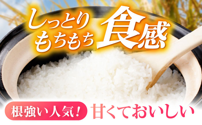 循環農法米 ヒノヒカリ白米 10kg / 米 こめ コメ おこめ お米 白米 ひのひかり / 諫早市 / 株式会社土井農場 [AHAD095]