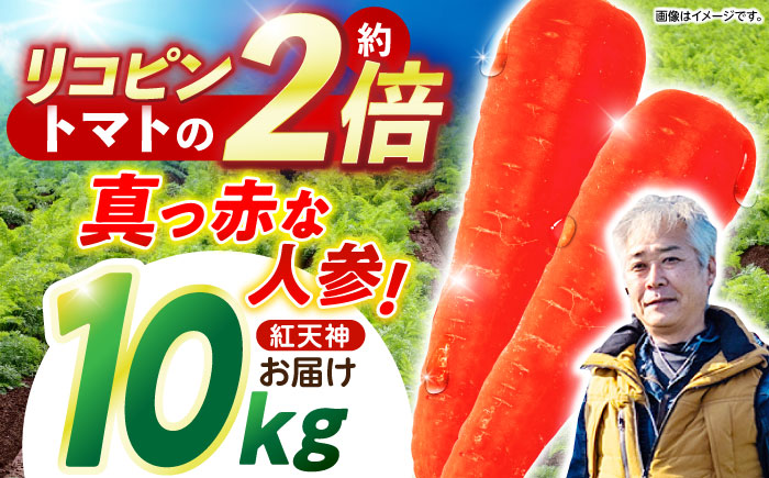 【甘みと栄養たっぷり！】 真っ赤な人参 「紅天神」 10kg / にんじん ニンジン 人参 やさい 野菜 / 諫早市 / 滝商店株式会社 [AHCU002]