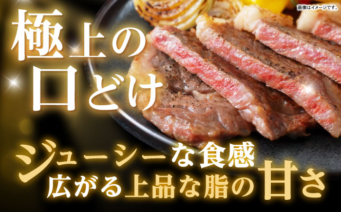 【最速発送】長崎和牛サーロイン250g×4パック / 長崎県産 長崎和牛 黒毛和牛 牛肉 和牛 牛 サーロイン / 諫早市 / 有限会社長崎フードサービス [AHDD005] スピード 最短 最速 発送