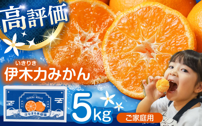 伊木力みかん (家庭用) 5kg / みかん ミカン 蜜柑 オレンジ フルーツ 果物 / 諫早市 / 山野果樹園 [AHCF002]