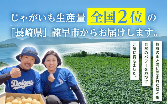 じゃがいも アイマサリ 5kg (S～2Lサイズ/約30～40個) / じゃがいも ジャガイモ ポテト 九州 あいまさり アイマサリ 野菜 やさい / 諫早市 / スマイルファーム　 [AHFG005]