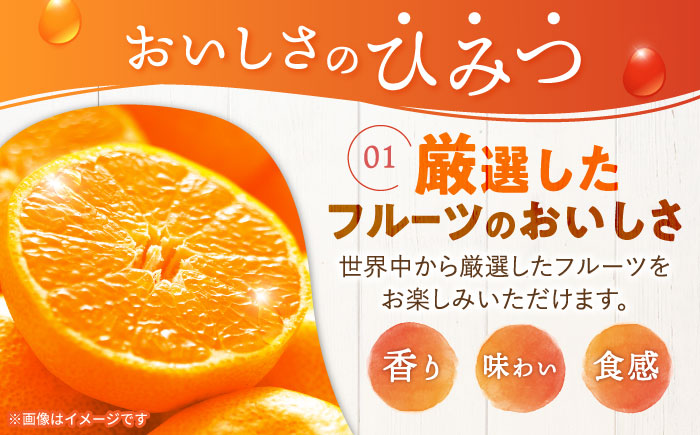 【最速発送】たらみのどっさり みかん 230g (1箱 6個入) / ゼリー フルーツゼリー 果実ゼリー 果物 フルーツ くだもの みかん / 諫早市 / 株式会社たらみ [AHBR014] スピード 最短 最速 発送