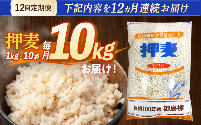 【全12回定期便】 押麦「長崎100年麦 御島裸」1kg×10袋 計10kg / 麦 むぎ 押麦 はだか麦 麦味噌 雑穀 雑穀米 食物繊維 小分け / 諫早市 / 有限会社伊東精麦 [AHBU012]