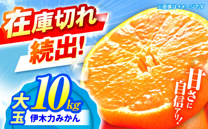 ※【2025年11月発送分／先行予約】伊木力みかん（大玉）10kg / みかん ミカン 蜜柑 フルーツ 果物 / 諫早市 / 山野果樹園 [AHCF005]