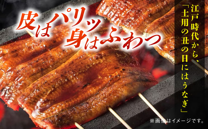 【最速発送】＜諫早淡水＞うなぎ蒲焼10尾 / うなぎ ウナギ 鰻 蒲焼き 蒲焼 国産 冷凍 小分け うな重 うな丼 ひつまぶし / 諫早市 / 活うなぎ問屋 諫早淡水 [AHAT003] スピード 最短 最速 発送