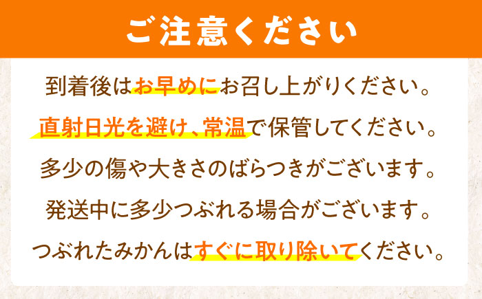 ※【2025年(令和7年)12月発送分／先行予約】伊木力温州早生みかん5kg(ご家庭用、箱入り) / 伊木力 温州みかん みかん ミカン 蜜柑 佐瀬 諫早 多良見 長崎 早生　/ 末永果樹園 [AHBD004]