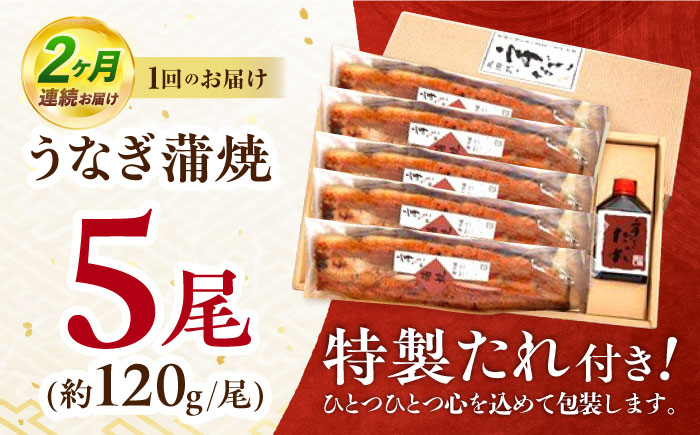 【2回定期便】『北御門』うなぎ蒲焼5尾入り / 特上 うなぎ 鰻 ウナギ 蒲焼 蒲焼き かばやき うな重 ひつまぶし 冷凍 / 諫早市 / 諫早観光物産コンベンション協会 [AHAB055]