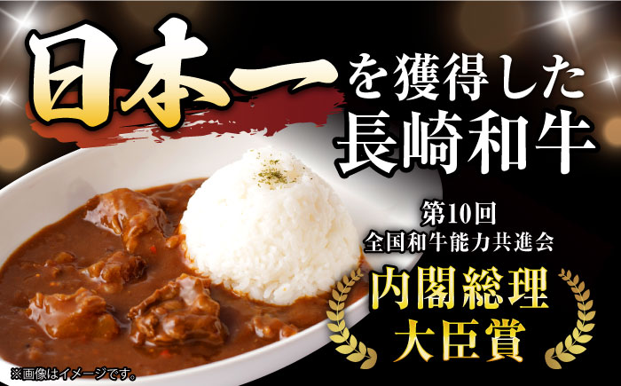 【6回定期便】 【肉のプロが贈る 究極のカレー】長崎和牛 カレー 約275g×4袋 / カレーライス かれー レトルト 牛 和牛 / 諫早市 / 野中精肉店 [AHCW099]