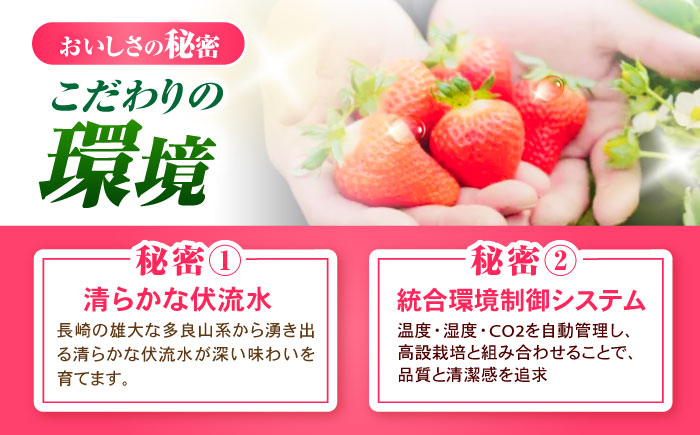 【完熟の恵み、ぎゅっと冷凍！】冷凍いちご「ゆめのか」 Sサイズ 1.5kg(500g×3) / いちご イチゴ 苺 冷凍 冷凍いちご 冷凍フルーツ イチゴジャム / 諫早市 / むらたサービス [AHFA002]