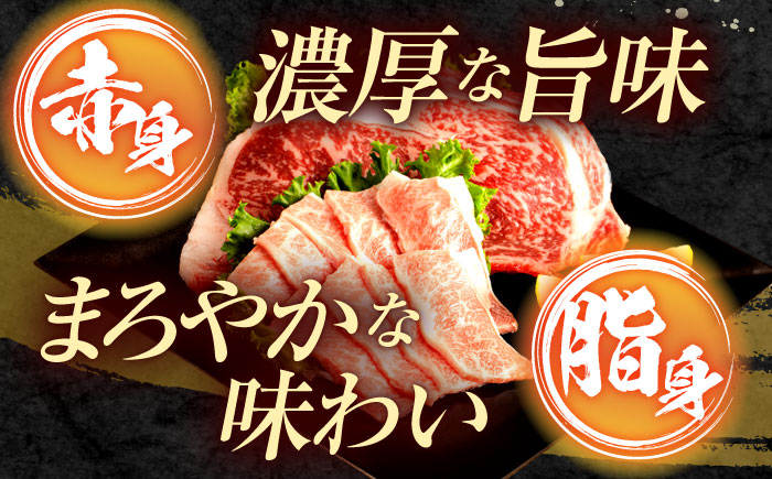 【6回定期便】長崎和牛 ステーキ・焼肉セット 600g×2パック / 牛肉 ぎゅうにく 肉 和牛 国産牛 焼き肉 やきにく ステーキ すてーき?/ 諫早市 / 西日本フード株式会社 [AHAV035]