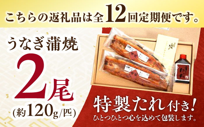 【12回定期便】北御門うなぎ蒲焼2尾入 / 特上 うなぎ 鰻 蒲焼 ウナギ / 諫早市 / 諫早観光物産　コンベンション協会 [AHAB014]