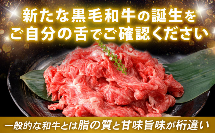 【特Aのブランド米で育てた】諫美牛 切り落とし 500g(250g×2) / 牛肉 ぎゅうにく 和牛 牛 肉 国産 切り落とし 切り落し 切りおとし / 諫早市 / 株式会社土井農場 [AHAD090]